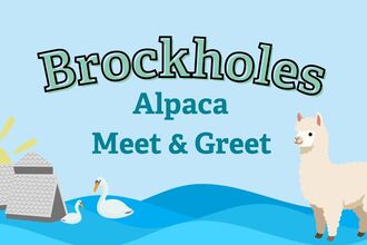 Brockholes Alpaca Meet & Greet