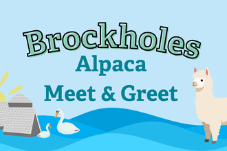 Brockholes Alpaca Meet & Greet