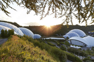 Eden Project Landscape