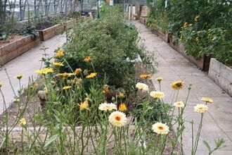 Greenhouse in bloom