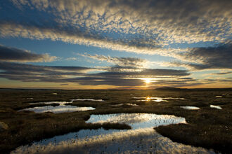 A view over a peatland landscape with the sunset reflected in the pools