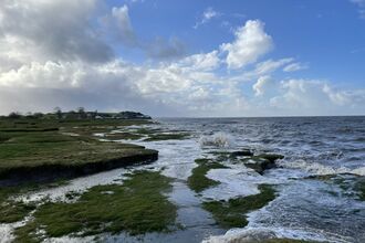 Saltmarsh vegetation absorbs wave energy at Bolton-le-Sands, Lancashire Credit Our Future Coast
