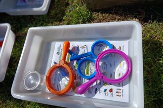 Tray with surveying equipment