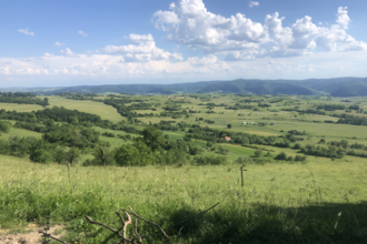 An image of the Transylvanian landscape which typically uses very few fences or walls.