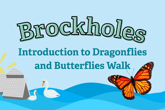 Introduction to Dragonflies and Butterflies Walk