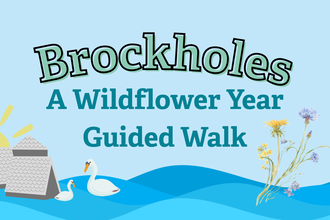 A Wildflower Year Guided Walk