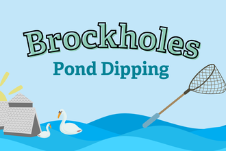 Brockholes Pond Dipping