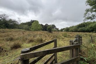 Scutchers Acres 