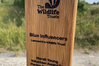 The Blue Influencers Award