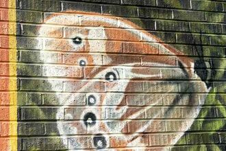 A painting of a large heath butterfly on a wall