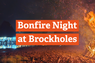 Bonfire Night at Brockholes