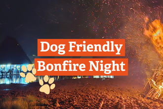 Dog Friendly Bonfire Night