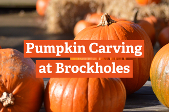 Pumpkin Carving at Brockholes