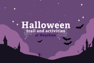 Halloween activities at HNR