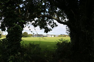 A view of tree with Winstanley College in the background