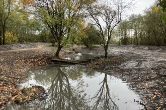 Slow the flow at Victoria Fields in Hindley by Alan Wright