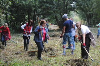 A group of nature reserve volunteers raking grass in a wooded clearing