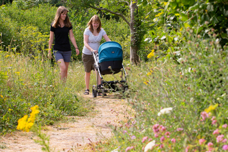 Two women walking through a wildflower area with a pram