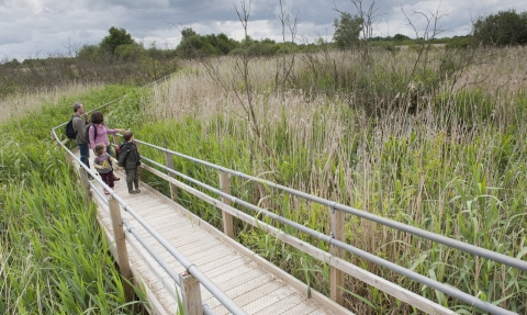 A family walking along a boardwalk through reeds at a nature reserve