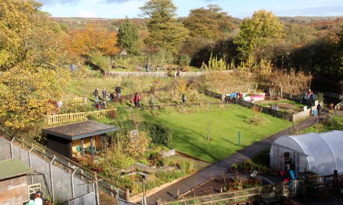 The Hive at Moss Bank Park