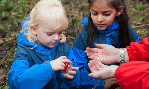 Two young children looking at an insect in a bug pot in the woods