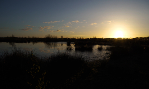 Little Woolden Moss bog pool in silhouette at sunrise