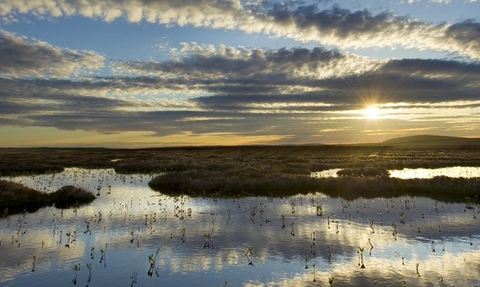 Pool system on peat bog as the sun is setting