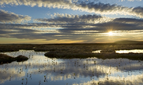 Pool system on a peat bog as the sun is setting