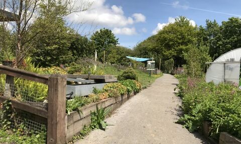 The Hive at Moss Bank Park 