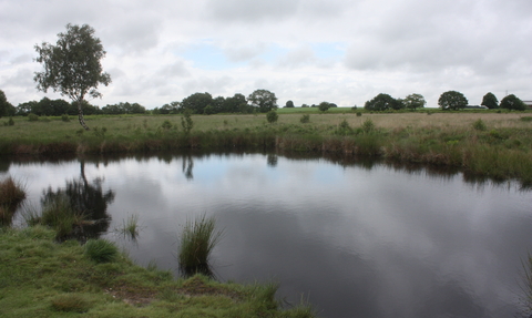 Highfield Moss by Alan Wright