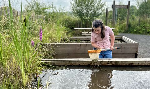 A girl pond dipping at Brockholes 