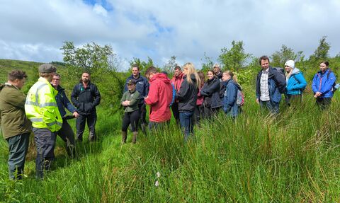 A group of people on a hillside