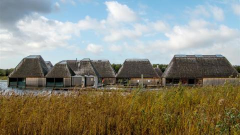 The floating Visitor Village in front of the reeds at Brockholes nature reserve