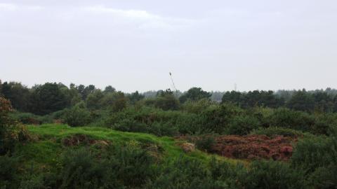 The landscape of Freshfield Dune Heath