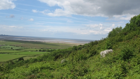 Warton Crag