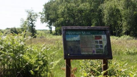 A Lancashire Wildlife Trust sign at the entrance to Heysham Moss nature reserve