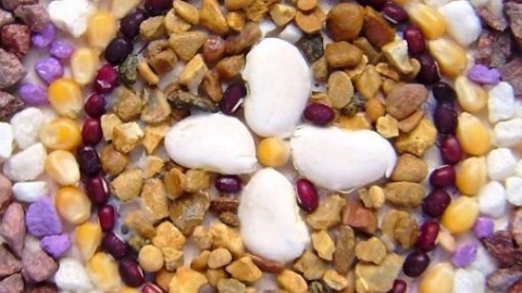 Pebble Art