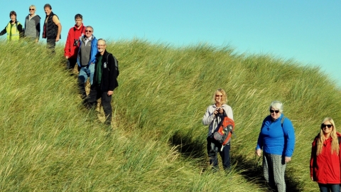 Sand Dunes
