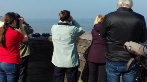 Seawatch