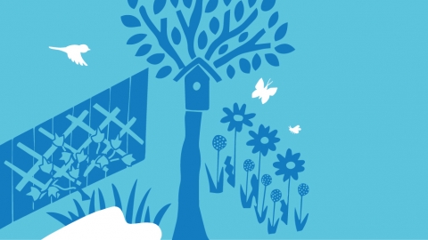 How to make a new build garden for wildlife