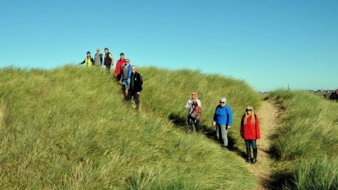 sand dunes walk