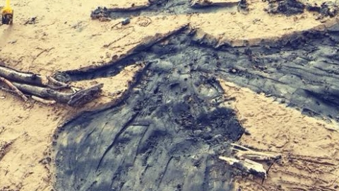 Monster Mud Dup