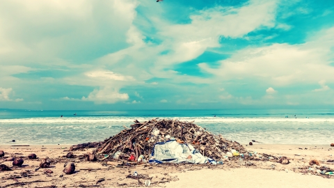 Ocean plastics in a pile with sticks on a remote beach