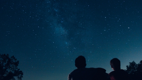 Two people stargazing on a clear night next to trees