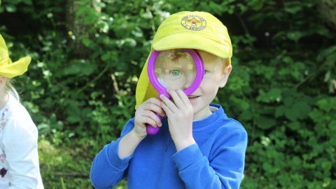 Hunting for Bugs