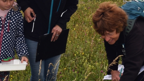 Visitors doing a bioblitz on the Fylde sand dunes with Lancashire Wildlife Trust