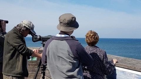 Visitors taking part in a Sea Watch at Rossall Point Observation Tower