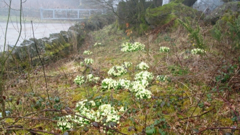 Hunters Hill Quarry
