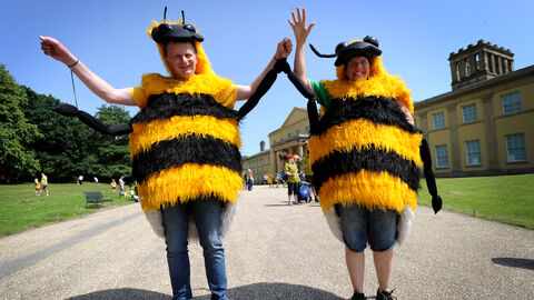 Two people dressed as bees at the 2019 Manchester Festival of Nature