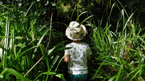 The Hive - Nature Tots